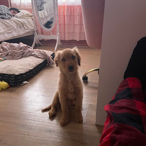 Meet your Posher, Alanna